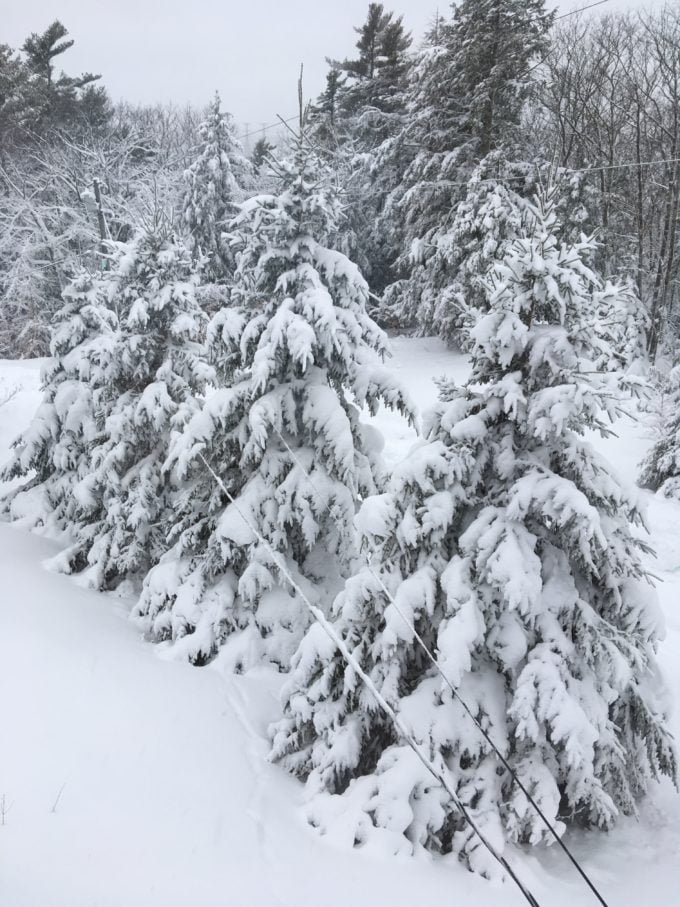 snowy day in bucksport mountain in maine