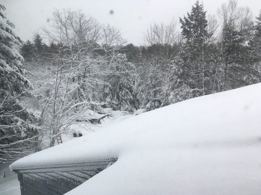 snowy day in bucksport mountain in maine