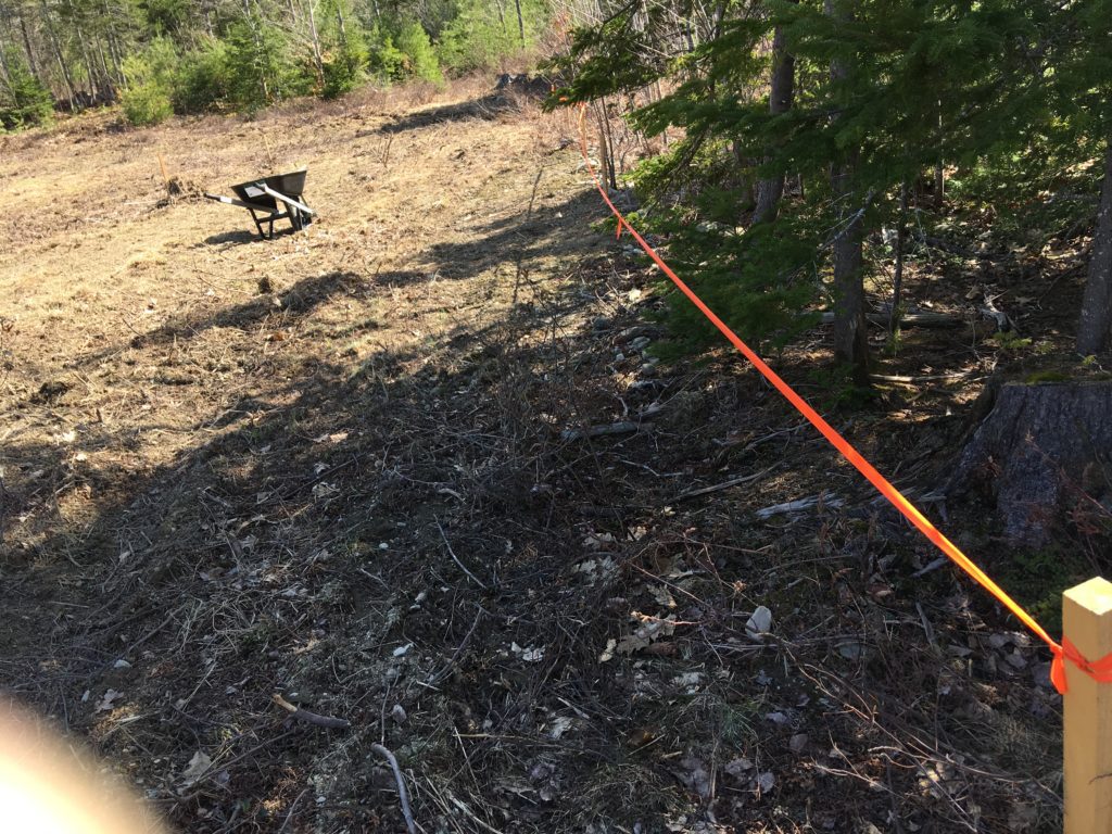 first year garden flagging the rock wall out