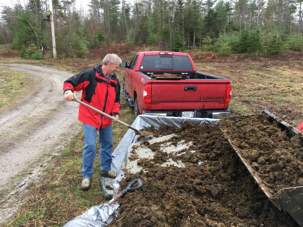 how much manure first year garden