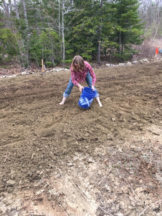 mandy picking rocks first year garden