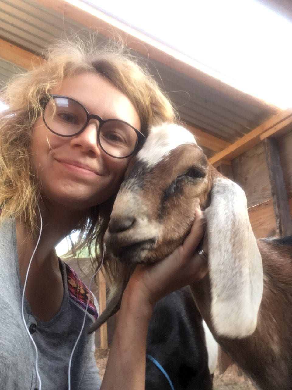 IMG_4293 Maine Homestead Magazine