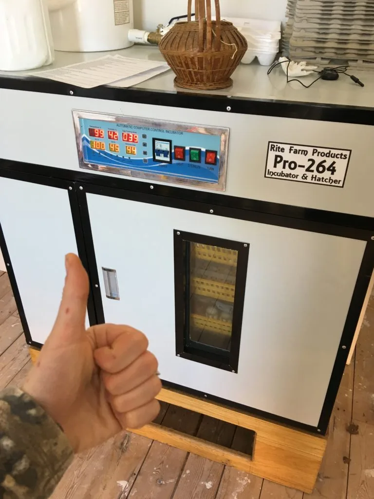 How to calculate hatch rates: counting your chicks before they hatch 4 Pro-264 incubator hatcher rite farm products hobbit hill hatchery bucksport maine
