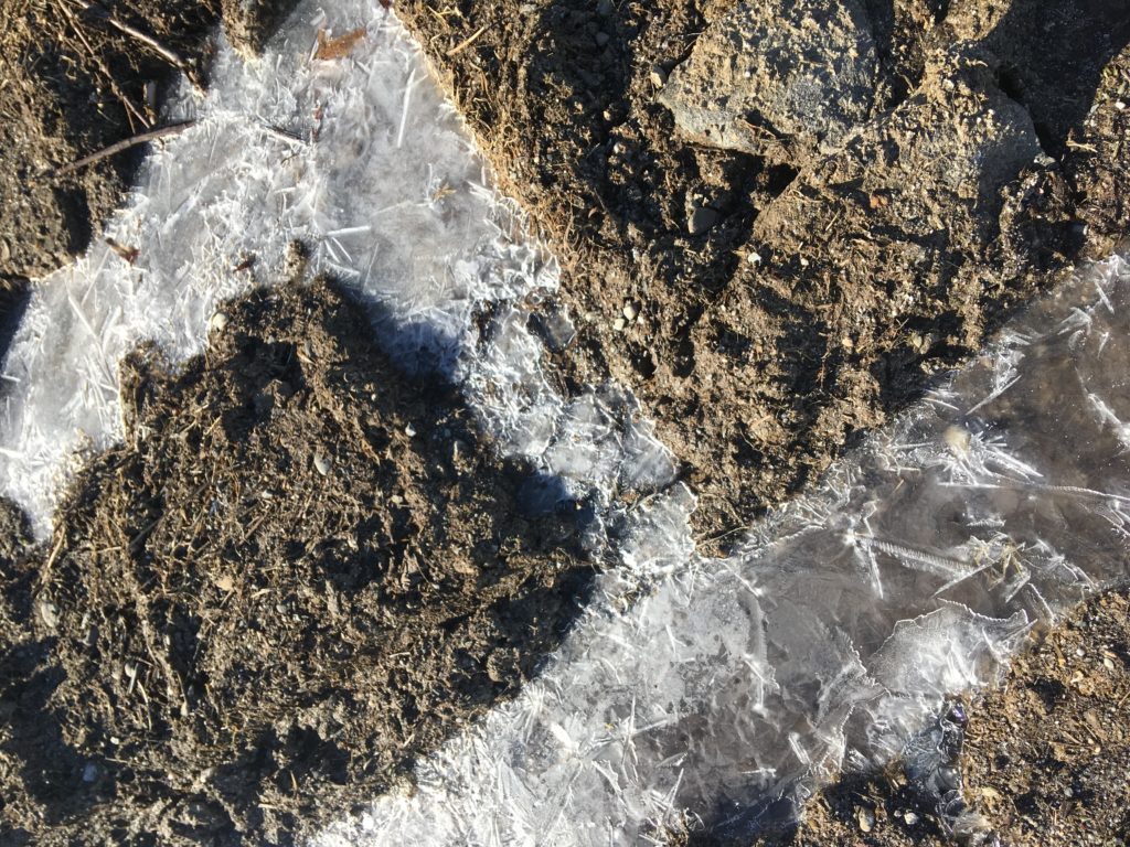 mud season maine april march homestead wheaton mountain farm bucksport, maine ME ice puddle how long is winter in maine? 