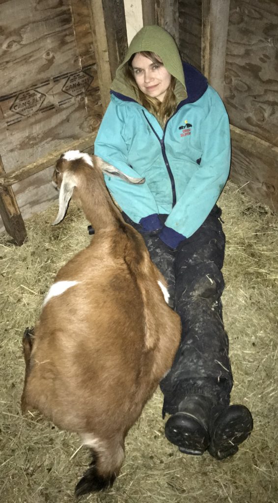 mandy wheaton and easy girl nubian dairy goat kids baby goat for sale in maine in labor kidding first freshening 