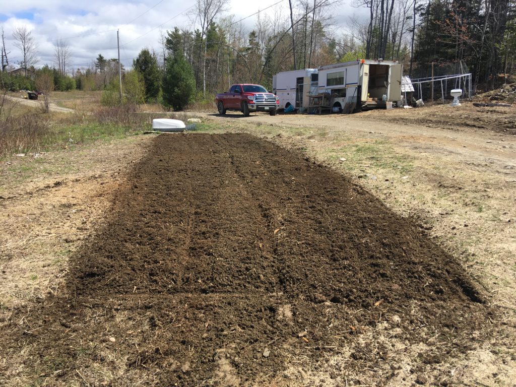 2019 garden tilled strawberry patch wheaton mountain gardens bucksport maine goats rabbits ducks chickens local manure