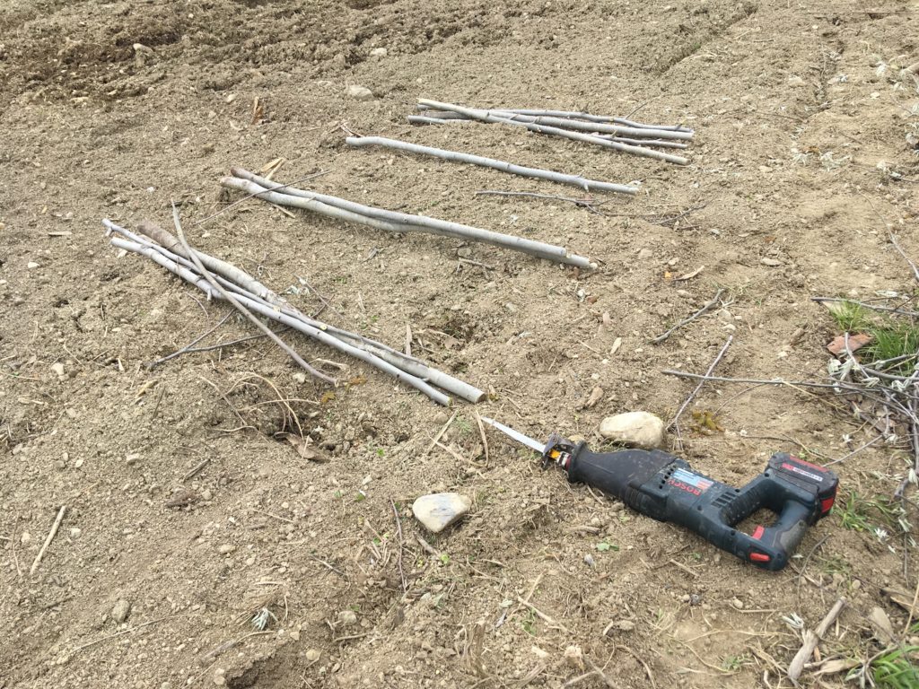 sawzall cut saplings for garden row markers at wheaton mountain farm garden