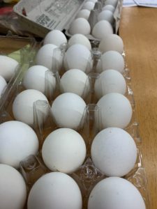 White laced buff polish hatching eggs by mail how are hatching eggs shipped?
