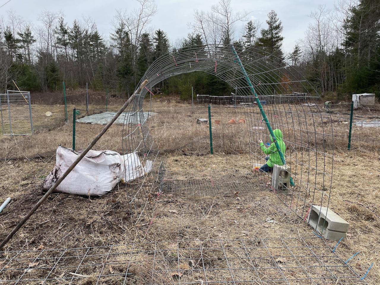 building a cattle panel high tunnel hoop house