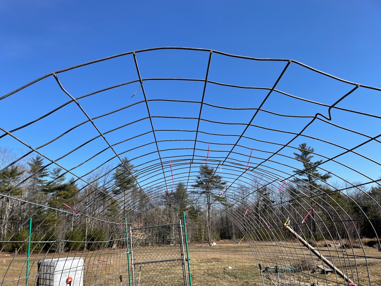 building a cattle panel high tunnel hoop house for maine's climate to extend the season