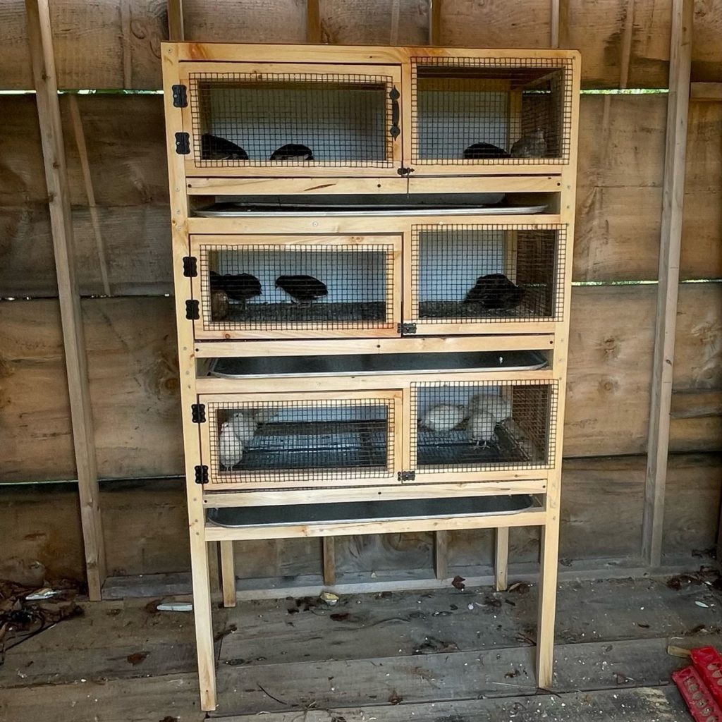 Getting started with quail is so simple, and we are offering a quick set up kit. quail 3-tier wooden cage