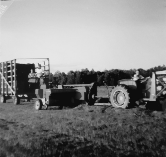 We The People farm in Canaan 6