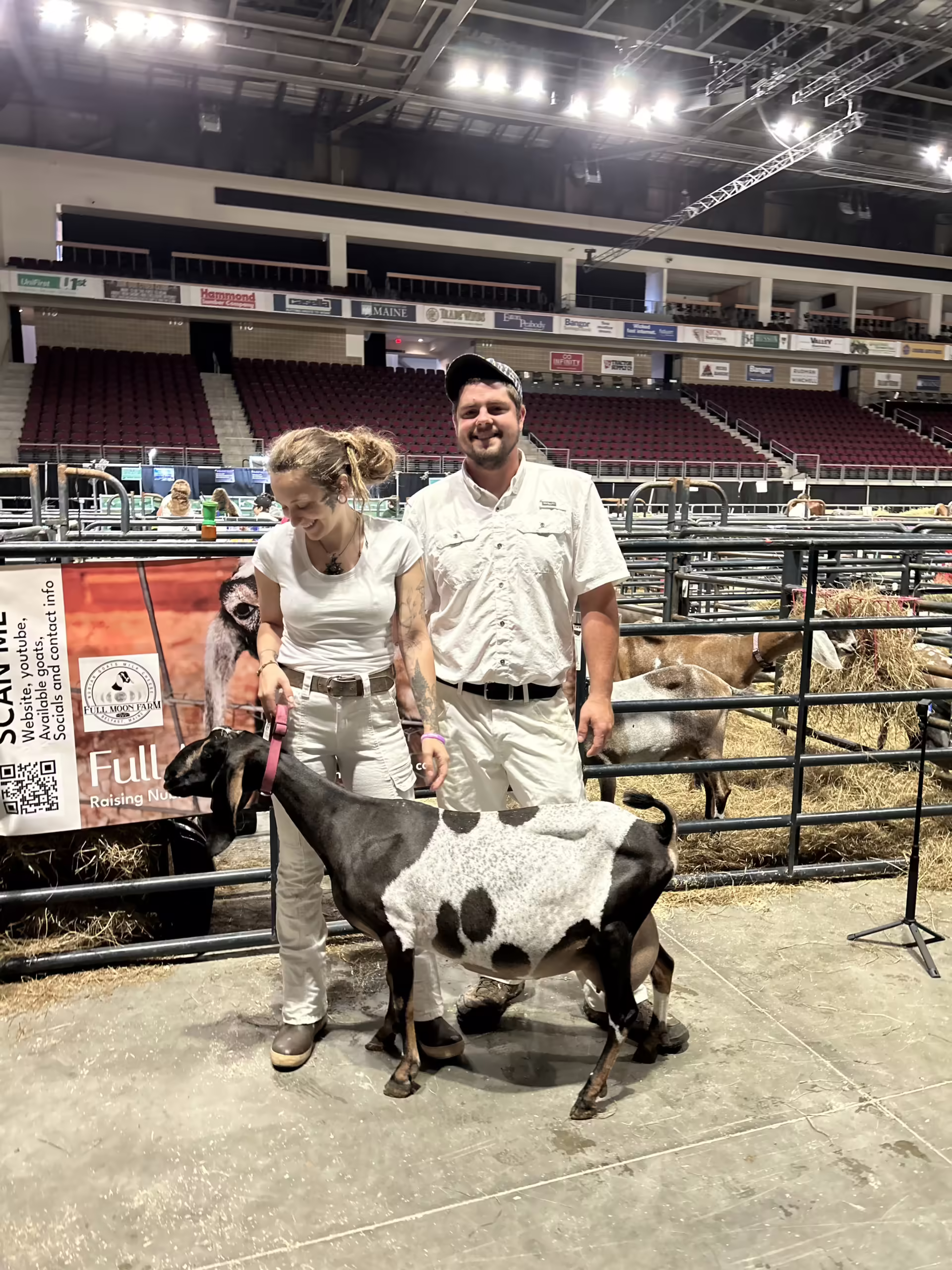The Healing Nature of Goats 4