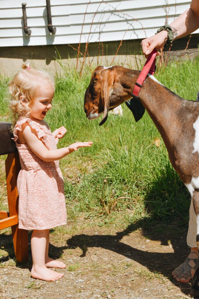 full moon creamery in Maine