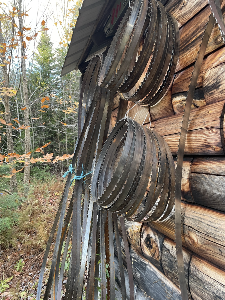 Bring your dull blades to local Mainer Kevin Wheaton offers Bandsaw Blades Sharpening in Maine for Sawmill Blades $8 each located near Bangor Maine